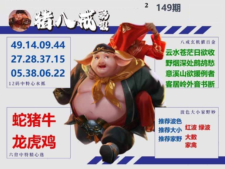 一波一肖